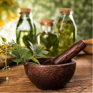 medecine naturelle à Montauban dans le Lot-et-Garonne 82