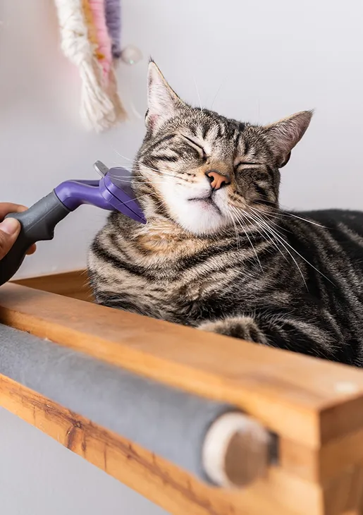 vente produits veterinaire à Montauban dans le Lot-et-Garonne 82