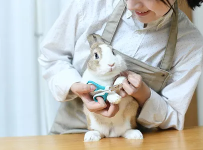 produits veterinaire nac à Montauban dans le Lot-et-Garonne 82