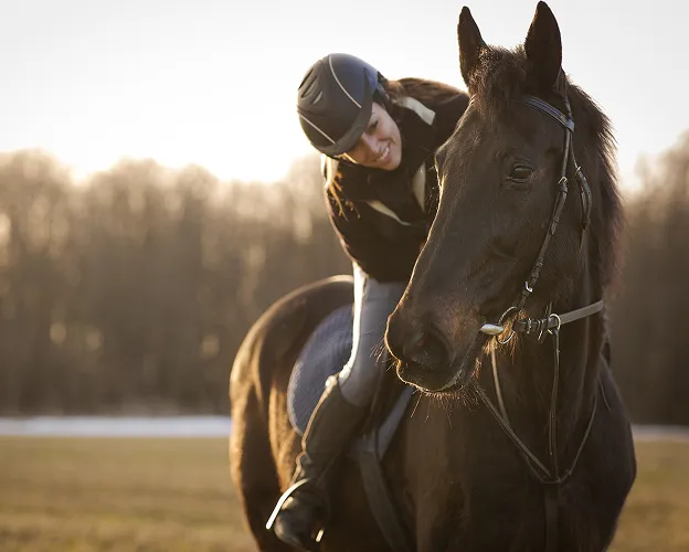 soins chevaux à Montauban dans le Lot-et-Garonne 82